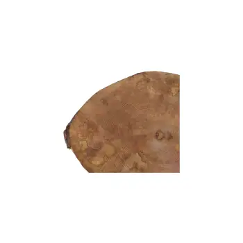 Plaster Jawora 43x34x5cm
