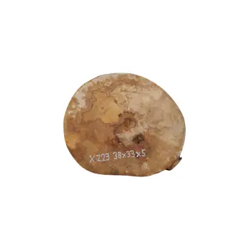 Plaster Jawora 38x33x5cm