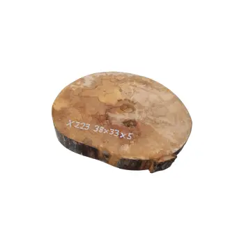 Plaster Jawora 38x33x5cm