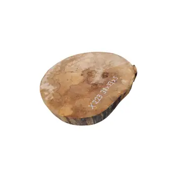 Plaster Jawora 38x33x5cm