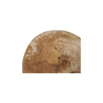 Plaster Jawora 38x33x5cm