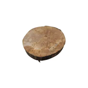 Plaster Jawora 38x34x5cm