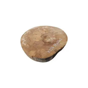 Plaster Jawora 37x33x5cm