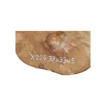Plaster Jawora 37x33x5cm