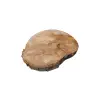 Plaster Jawora 39x33x5cm