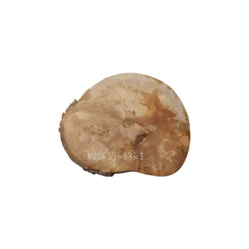 Plaster Jawora 39x33x5cm