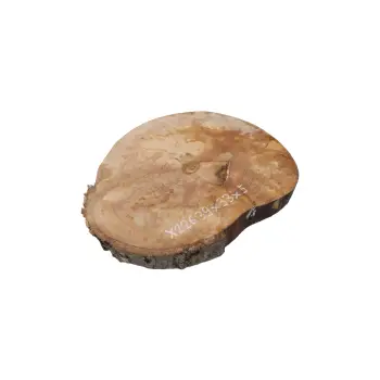 Plaster Jawora 39x33x5cm