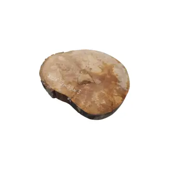 Plaster Jawora 39x33x5cm