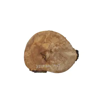 Plaster Jawora 40x34x5cm