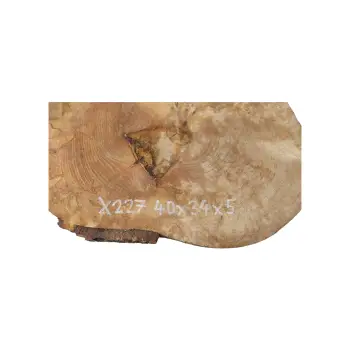 Plaster Jawora 40x34x5cm