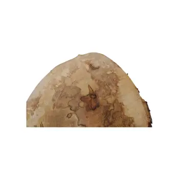 Plaster Jawora 32x32x4cm