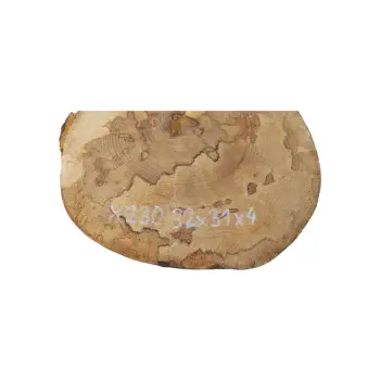 Plaster Jawora 32x31x4cm