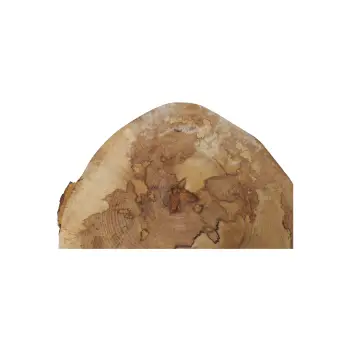 Plaster Jawora 32x31x4cm