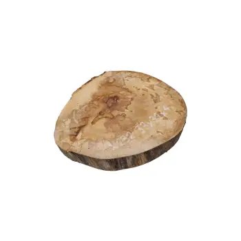 Plaster Jawora 33x32x4cm