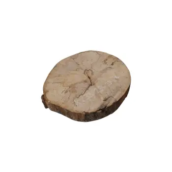 Plaster Jawora 29x27x4cm