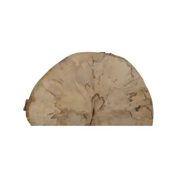 Plaster Jawora 29x27x4cm