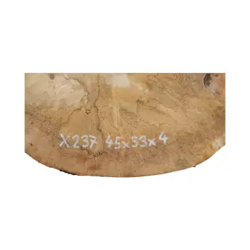 Plaster Jawora 45x33x4cm