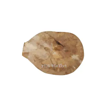 Plaster Jawora 45x33x4cm