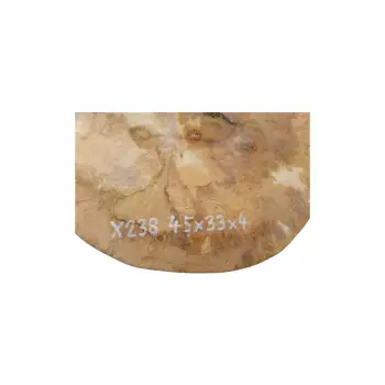 Plaster Jawora 45x33x4cm