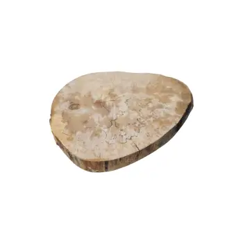 Plaster Jawora 37x30x4cm