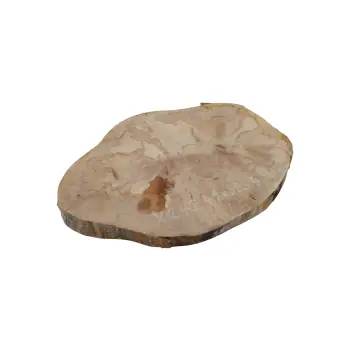 Plaster Jawora 41x30x4cm