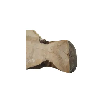 Plaster Jawora 48x30x4cm