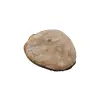 Plaster Jawora 33x31x4cm
