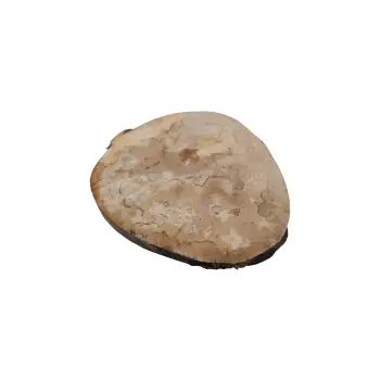 Plaster Jawora 33x31x4cm