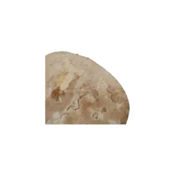 Plaster Jawora 33x31x4cm
