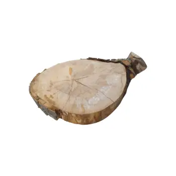 Plaster Jawora 25x26x4cm