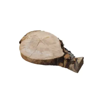 Plaster Jawora 25x26x4cm