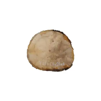 Plaster Jawora 28x26x4cm