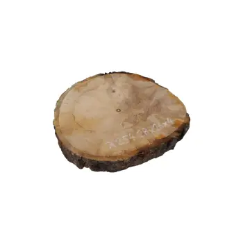 Plaster Jawora 28x26x4cm