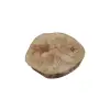 Plaster Jawora 29x28x4cm