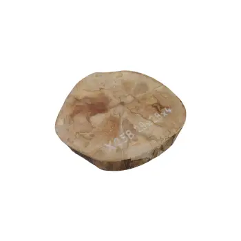 Plaster Jawora 29x28x4cm