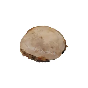 Plaster Jawora 27x27x4cm