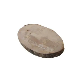 Plaster Jawora 29x22x3,5cm