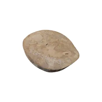 Plaster Jawora 31x26x3,5cm