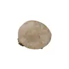 Plaster Jawora 28x26x3,5cm