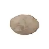 Plaster Jawora 31x22x3,5cm