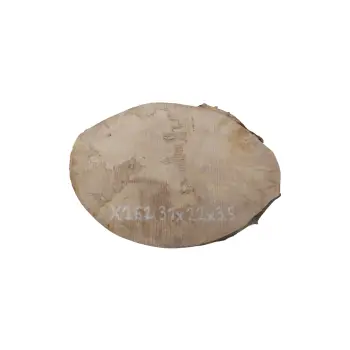 Plaster Jawora 31x22x3,5cm