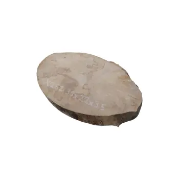 Plaster Jawora 31x22x3,5cm