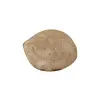 Plaster Jawora 31x26x3,5cm