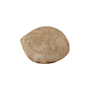 Plaster Jawora 31x26x3,5cm