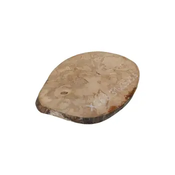 Plaster Jawora 31x26x3,5cm