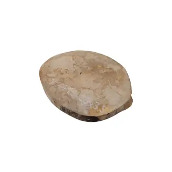 Plaster Jawora 29x25x3,5cm