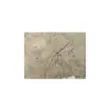 Plaster Jawora 30x26x3,5cm