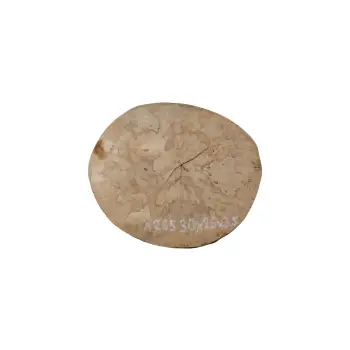 Plaster Jawora 30x26x3,5cm