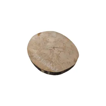 Plaster Jawora 30x26x3,5cm