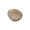 Plaster Jawora 28x26x3,5cm